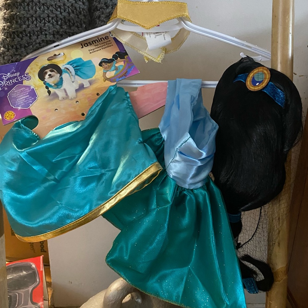 Disney Princess Jasmine Dog Costume, Medium